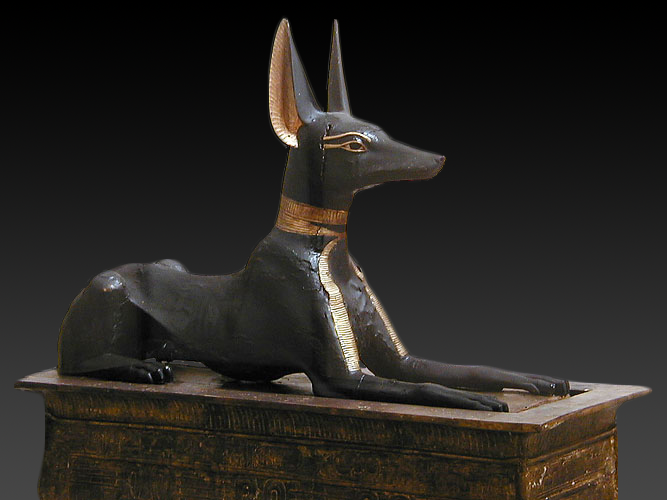 Anubis