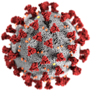 Esquema de un virus